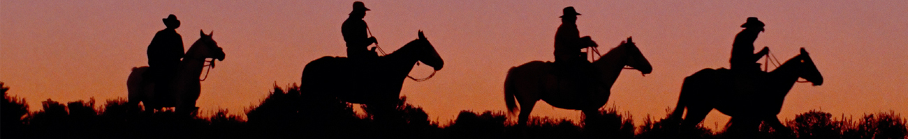 Horseback Riding Louisiana Bed Breakfast Horseback Riding Louisiana Bed Breakfast